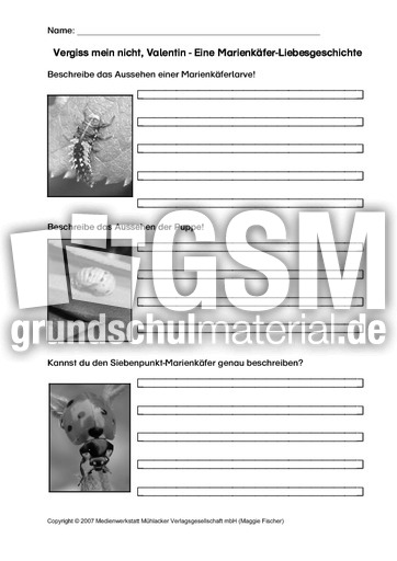 AB-Marienkäfer-Aussehen-SW.pdf